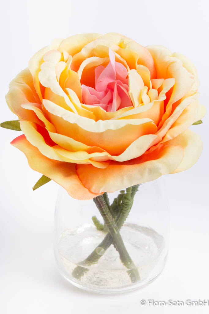 Rose im Glas Farbe: orange, leicht pink