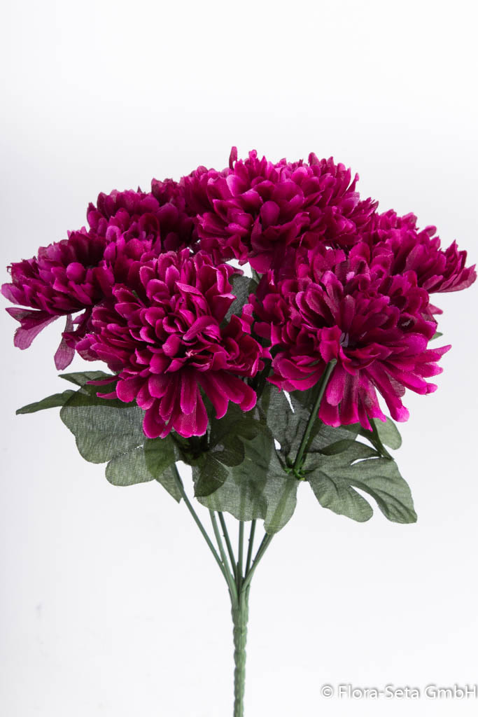 Chrysanthemenstrauß klein mit 7 Stielen Farbe: fuchsia