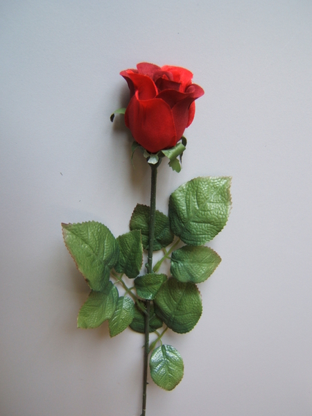 Rose Präsent halboffen mit 9 Blättern Farbe:rot