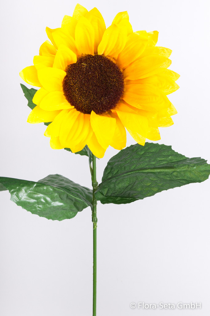 Sonnenblume mit 3 Blättern Farbe: gelb