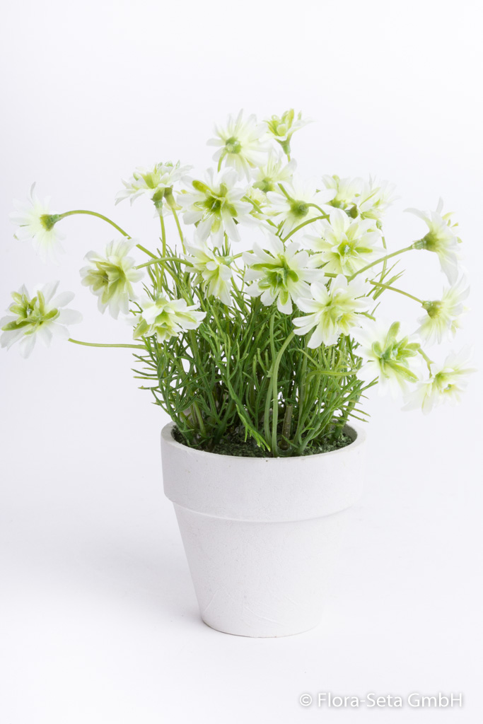 Blütenbusch im weißen Tontopf Farbe: weiß-hellgrün
