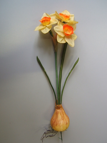 Narzisse mit Zwiebel und 3 Blüten auf Drahtspieß Farbe: gelb, Mitte orange