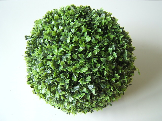 Buchskugel Durchmesser ca. 30 cm Farbe:grün-hellgrün