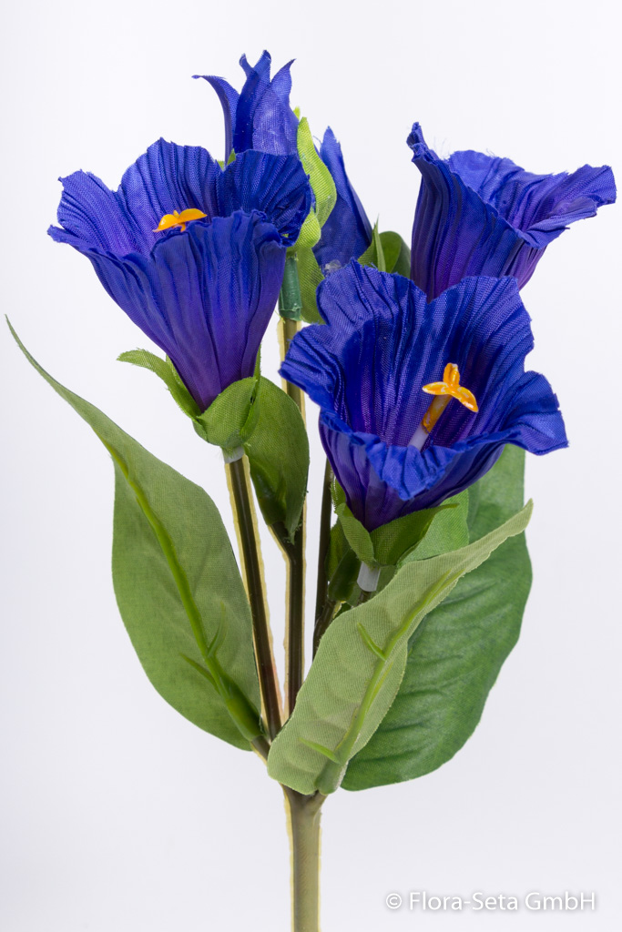 Enzianbusch mit 3 Blüten und 2 Knospen Farbe: dunkelblau