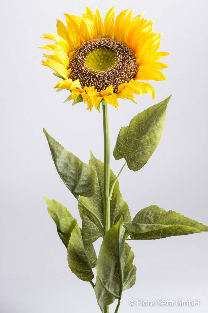 Sonnenblume groß mit 6 Blättern