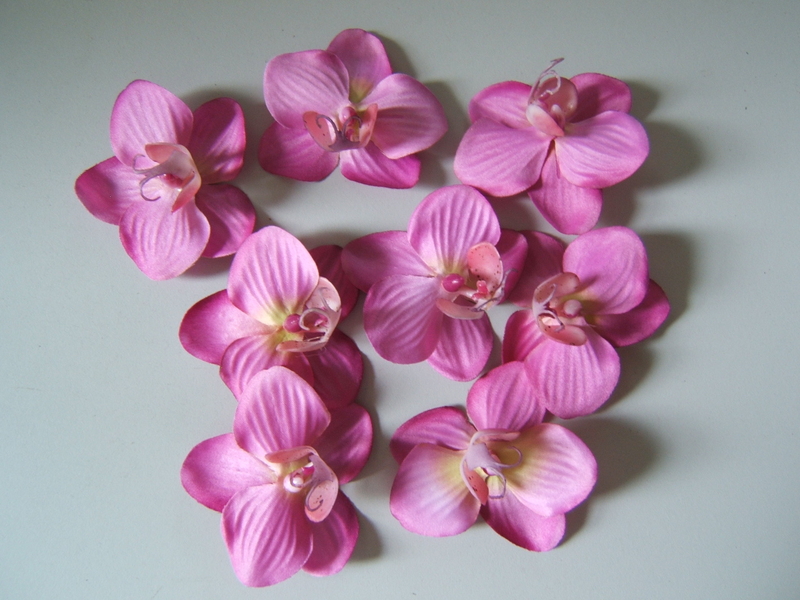 8 Orchideenblüten in Klarsichtpackung Farbe: lavendel