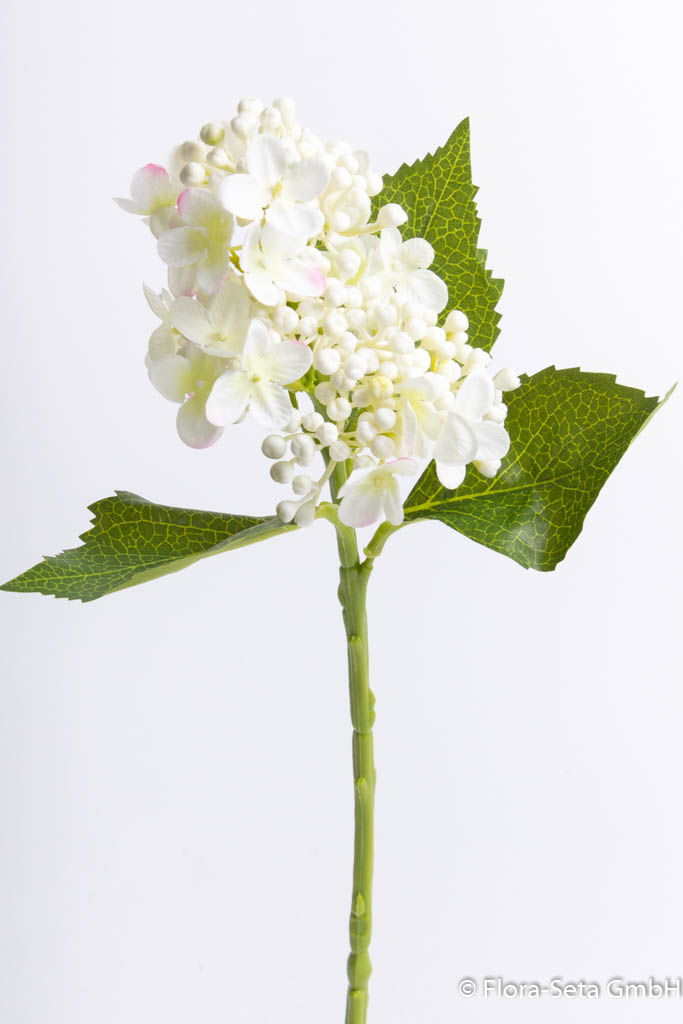 Flieder Hortensienzweig mit 3 Blättern Farbe: creme-weiß