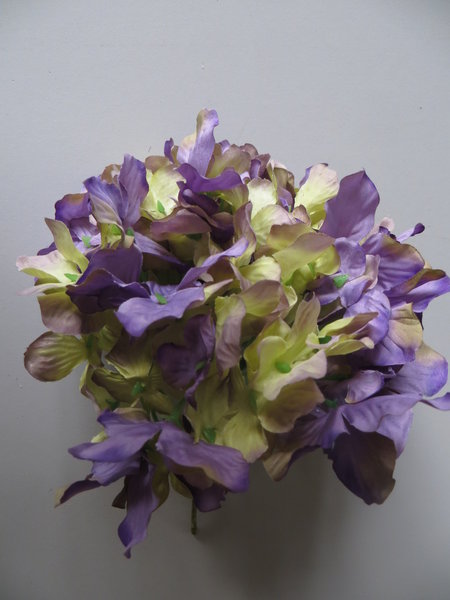 Hortensie kurzstielig ohne Blätter Farbe:lila-hellgrün