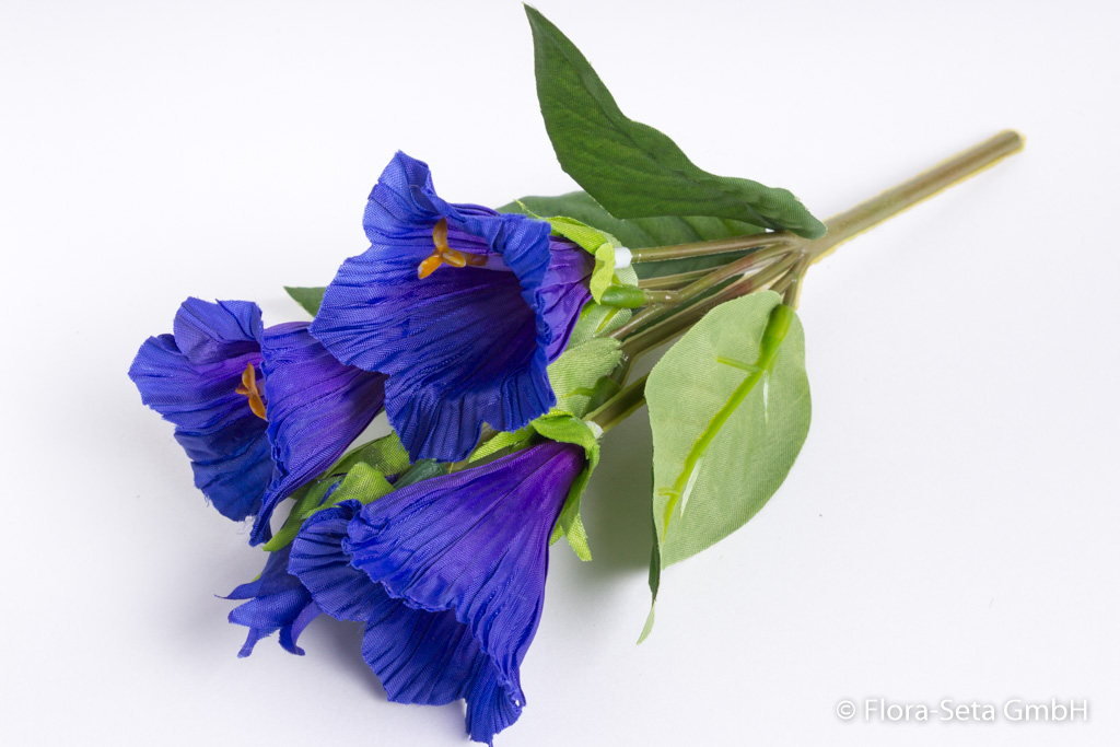 Enzianbusch mit 3 Blüten und 2 Knospen Farbe: dunkelblau
