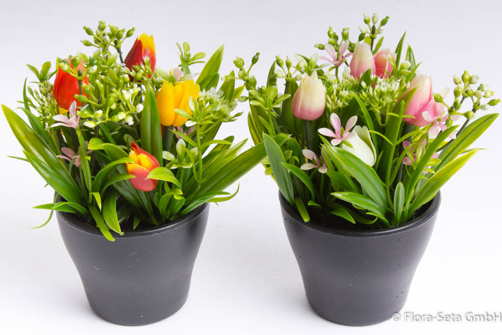 Mini-Tulpen-Arrangement (2fach sortiert) Farbe: creme-pink-orange-gelb