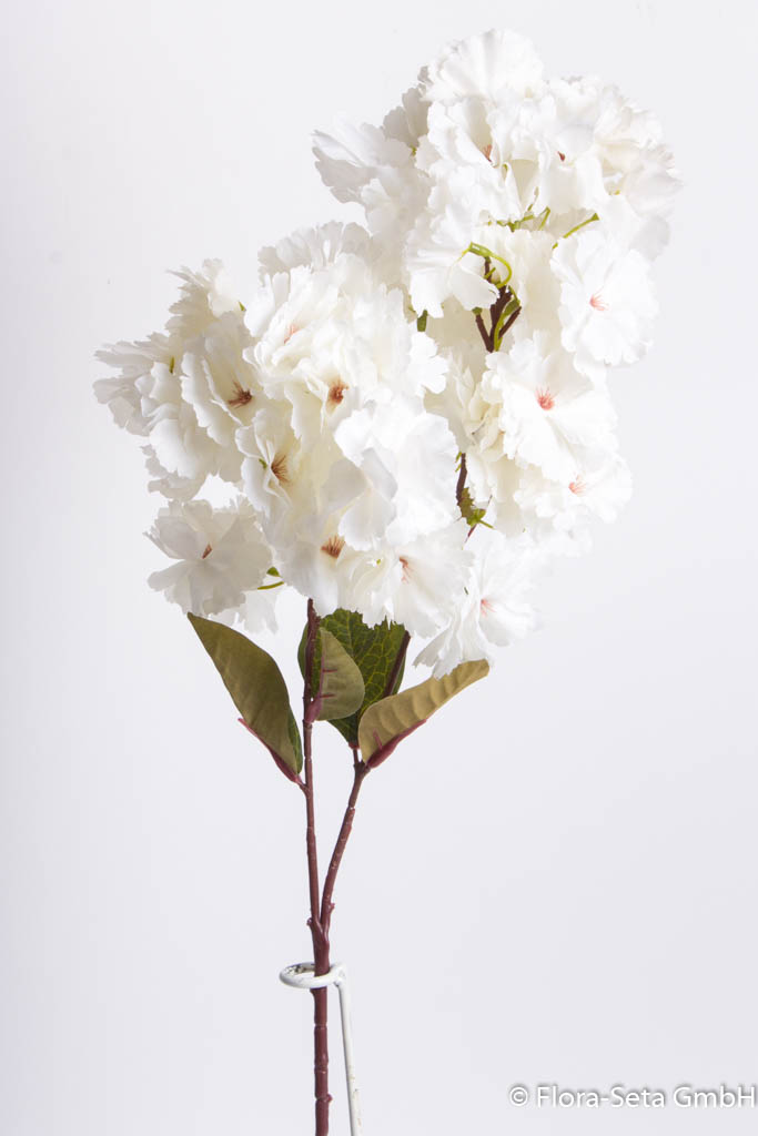 Frühlingsblütenzweig, Farbe: creme-weiß