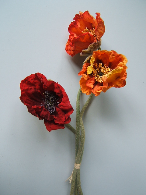 Mohnbündel mit 3 großen Blüten farblich abgestimmt sortiert Farbe:gelb-orange-rot