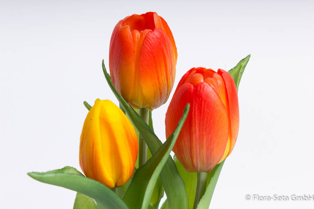 Steh-Tulpe Sally mit 2 Tulpen und 1 Tulpenknospe Farbe: orange "real Touch"