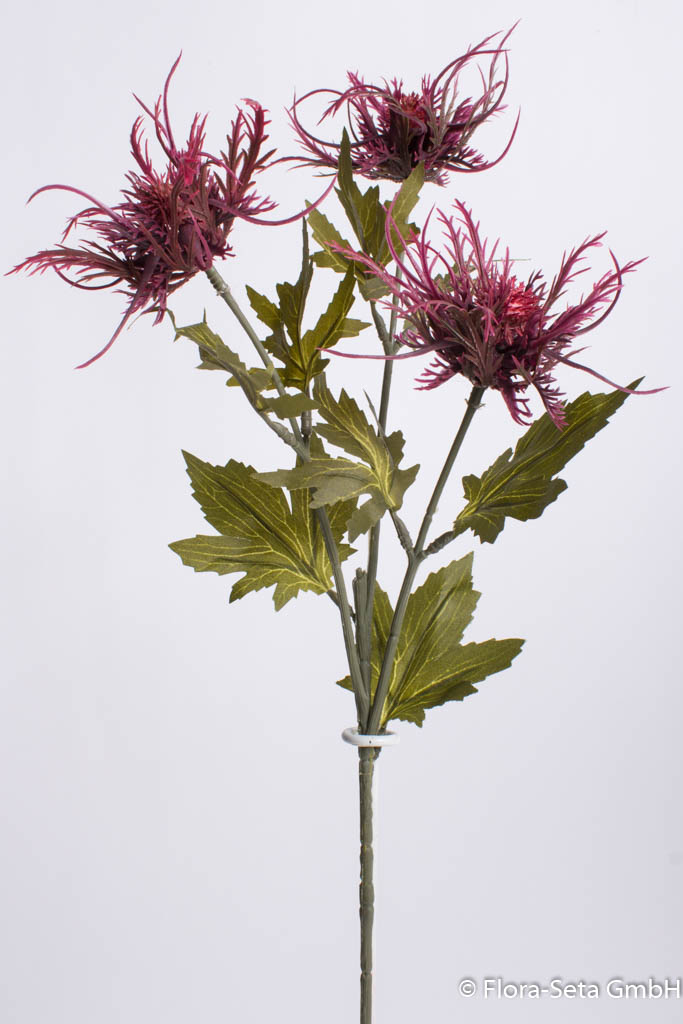 Sea-Holly-Distelzweig mit 3 Blüten Farbe: burgund