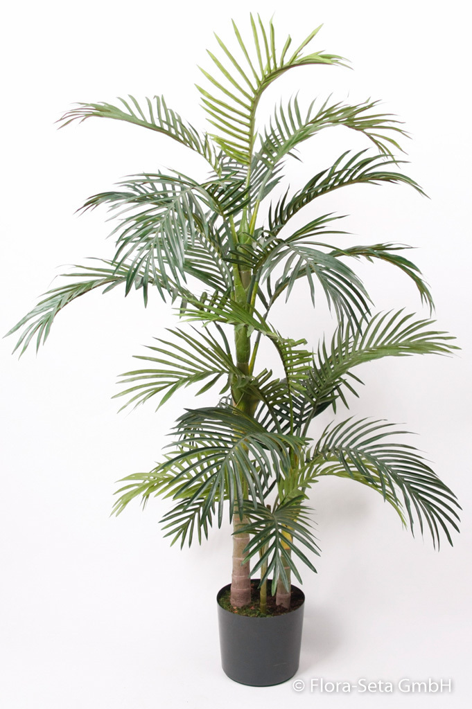 Areca Palme in schwarzem Kunststofftopf, Höhe ca. 180 cm
