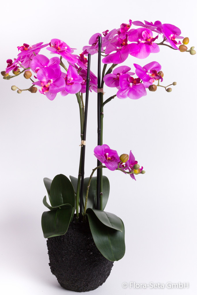 Orchidee auf künstlichem Erdballen mit 3 Stielen und 7 Rispen "real touch" Farbe: beauty