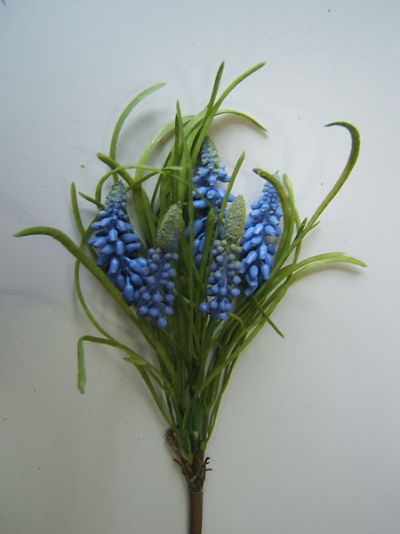 Muscaribündel mit Gras und 5 Blüten Farbe:blau