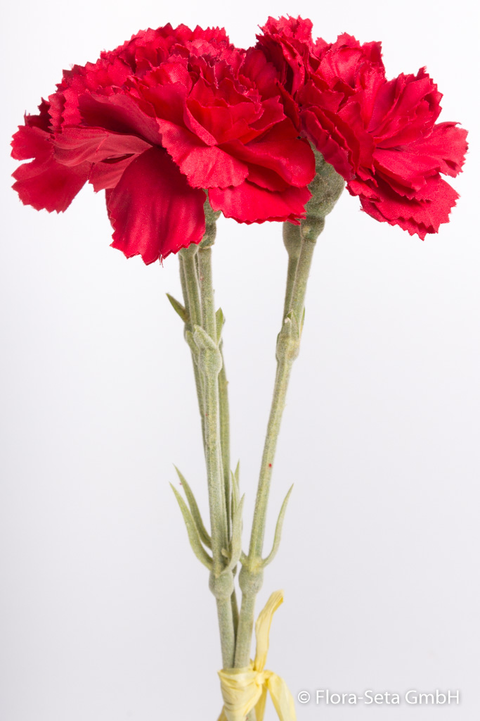 Nelken-Bündel mit 3 Blüten Farbe: rot