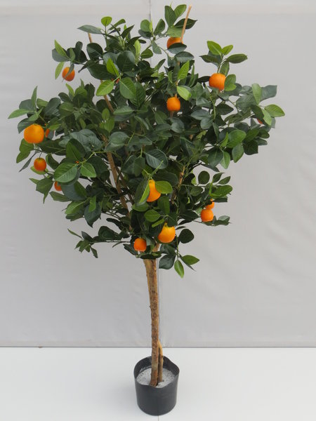 Golden-Orangenbaum mit ca. 1083 Blättern und ca. 22 Früchten im Kunststofftopf
