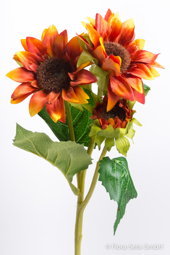 Sonnenblume mit 2 Blüten, 1 Knospe Farbe: orange