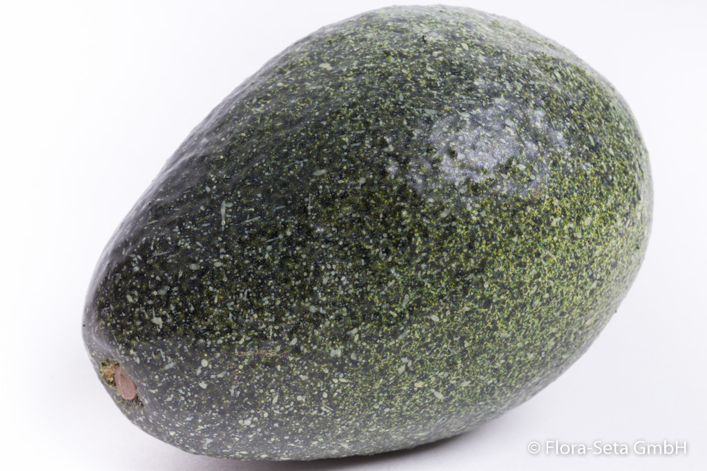 Avocado Farbe: dunkelgrün-grün