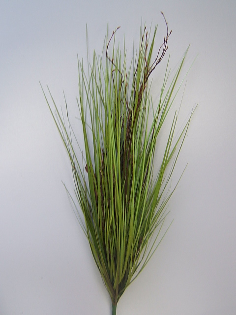 Grasbusch mit Reisigästen Farbe:grün/braun