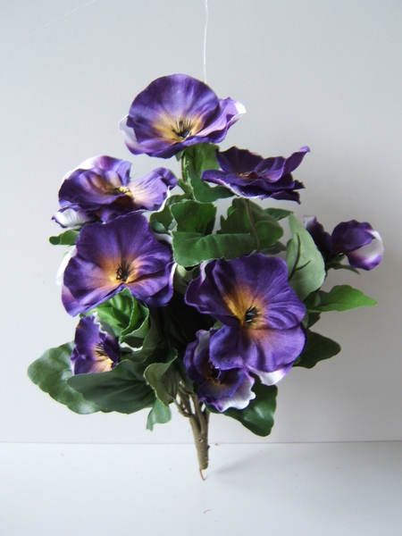 Stiefmütterchenbusch (Pansy) groß mit 9 Blüten Farbe: purple mit hellen Rändern