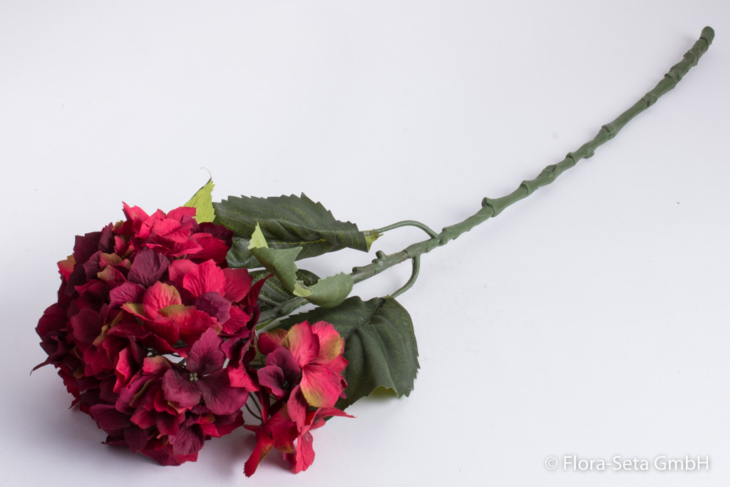 Hortensie mit 5 Blättern Farbe: rot-burgund