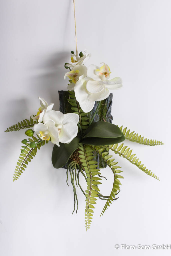 Orchideen-Farn-Deko auf Rinde mit Aufhänger
