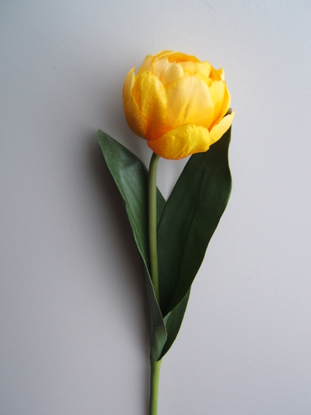 Tulpe gefüllt mit 2 Blättern Farbe: gelb