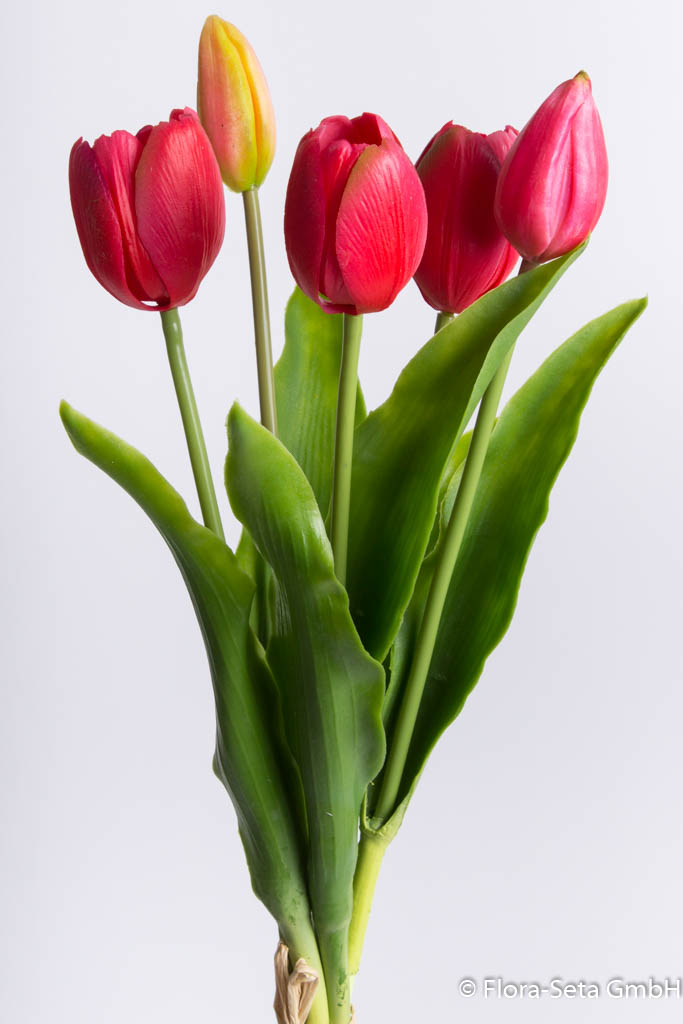 Tulpenbündel Holland mit 3 Tulpen und 2 Tulpenknospen Farbe: beauty "real Touch"