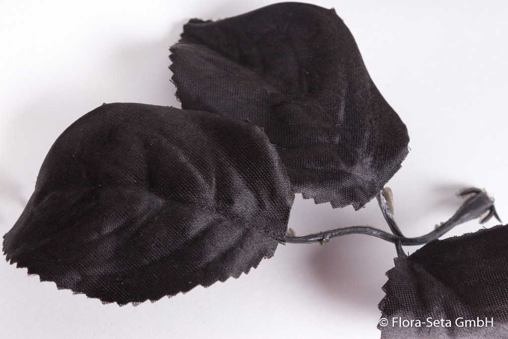 Rosenblätter (Inhalt 15 Stück) Farbe: schwarz