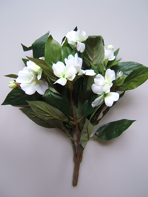 Impatiensbusch (Fleissiges Lieschen) mit 5 Stielen und 11 Blüten Farbe:weiß-creme-hellgrün