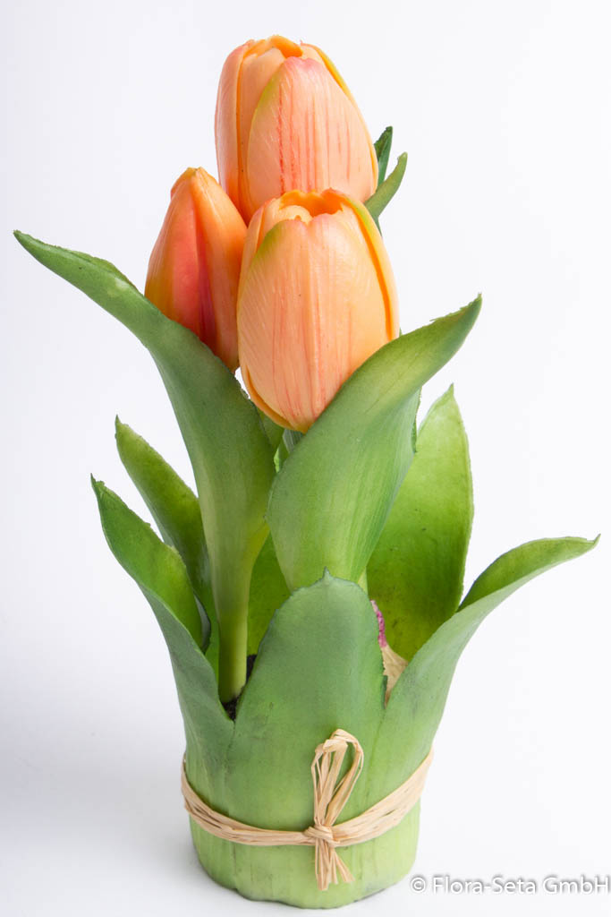 Steh-Tulpe Sally mit 2 Tulpen und 1 Tulpenknospe Farbe: lachs "real Touch"