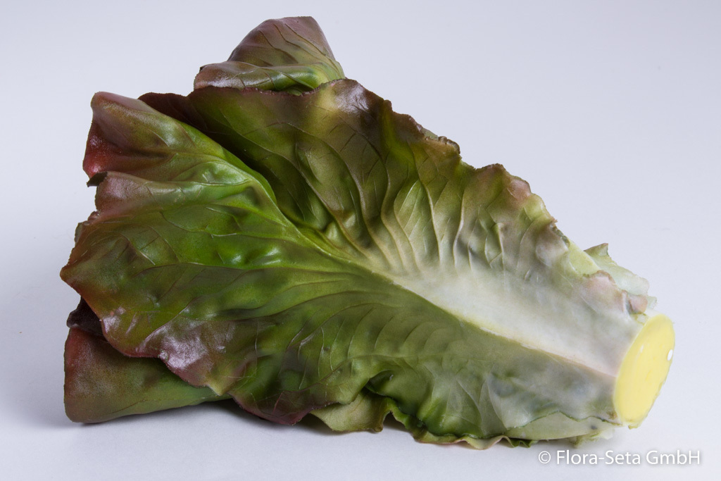 Salat Romana Farbe: grün-rotbraun