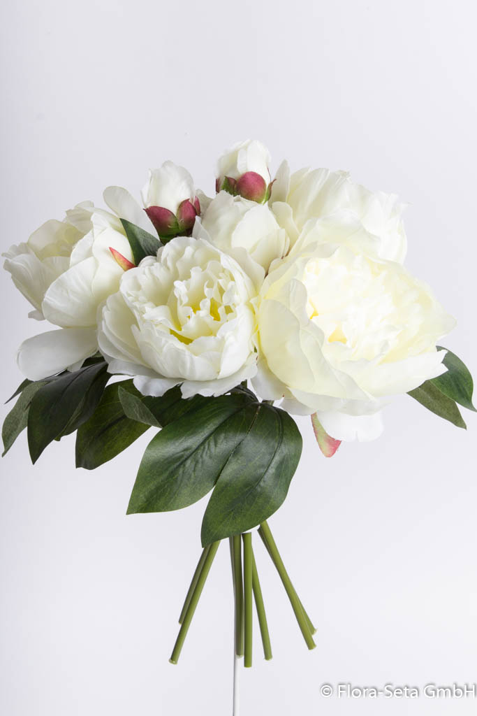 Pfingstrosenbündel mit 4 Blüten und 4 Knospen Farbe: creme-weiß
