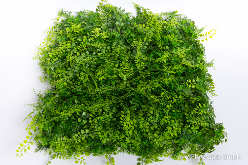 Farn-Juniperus-Mix-Matte groß 50x50 UV-protected
