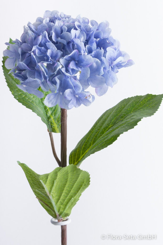 Hortensie mit 3 Blättern Farbe: hellblau-altblau