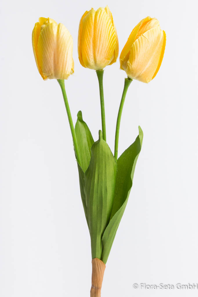 Tulpenbund mit 3 Tulpen und 3 Blättern Farbe: gelb