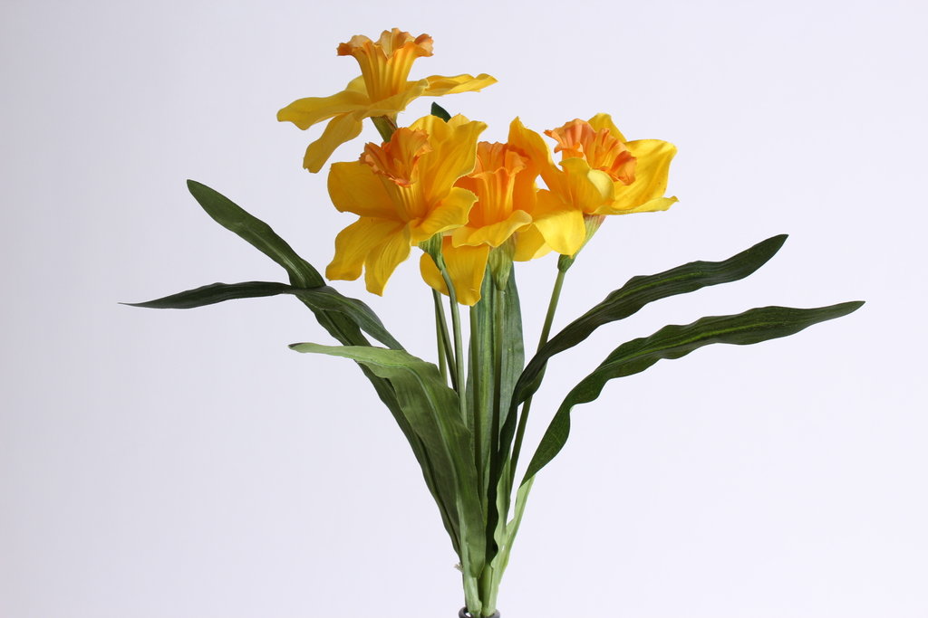 Narzissenbusch mit 6 Blüten und 6 Blättern Farbe: gelb mit orangefarbener Mitte
