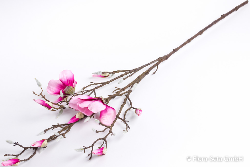 Magnolienzweig groß mit 2 Blüten und 8 Knospen Farbe: rosa-pink
