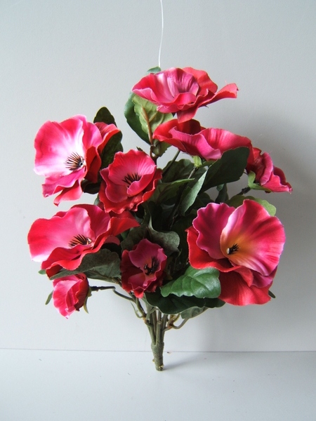 Stiefmütterchenbusch (Pansy) groß mit 9 Blüten Farbe: beauty