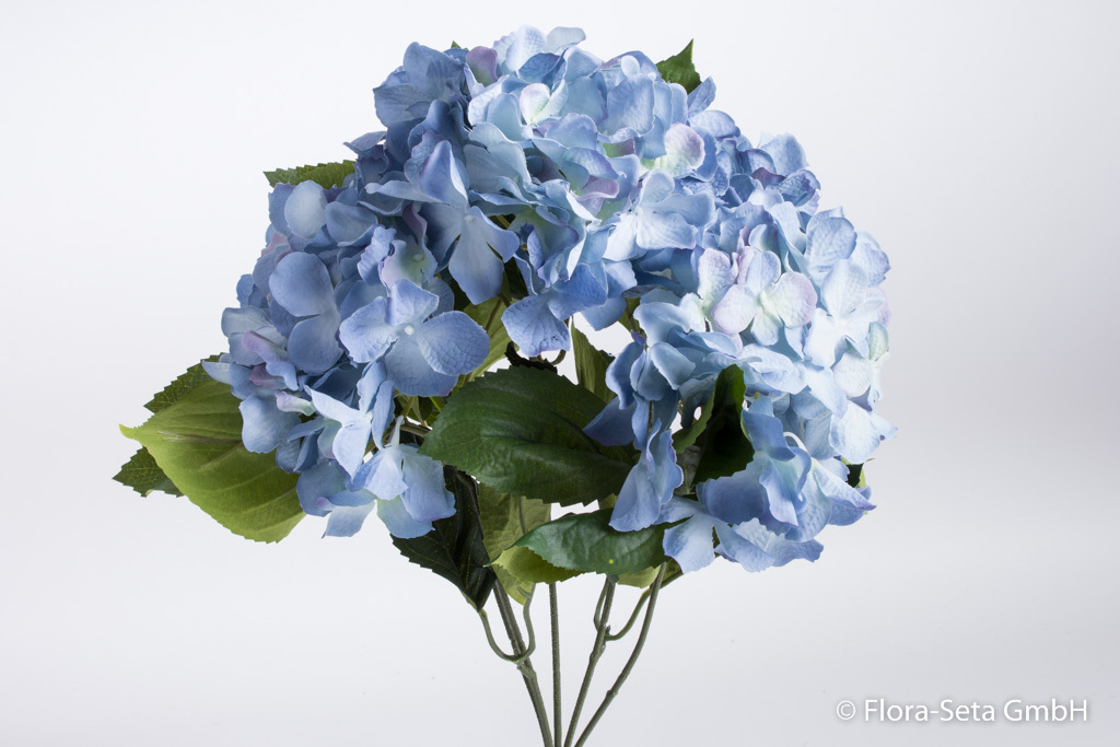 Hortensienbusch mit 5 Blüten Farbe: antikblau