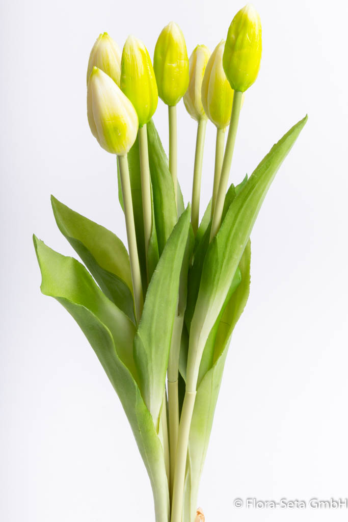 Tulpenbündel mit 7 Tulpenknospen Farbe: creme-weiß "real Touch"