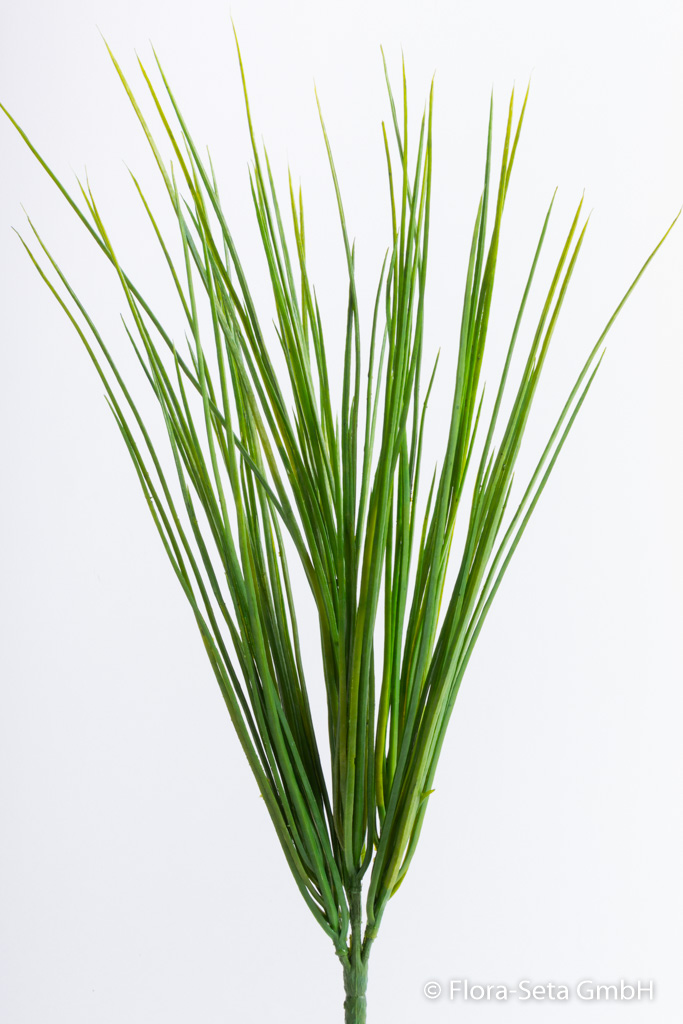 Grasstiel mit 7 Stielen Farbe: grün