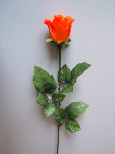 Rose Präsent halboffen mit 9 Blättern Farbe:orange