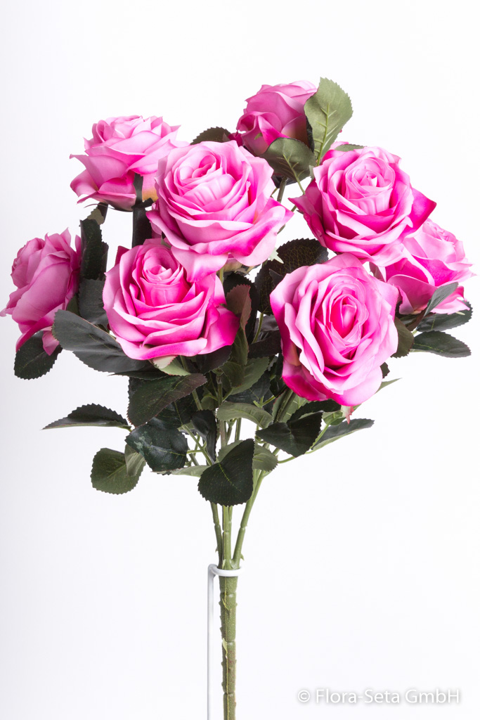 Rosenbusch Dijon mit 10 Rosen Farbe: dunkel pink