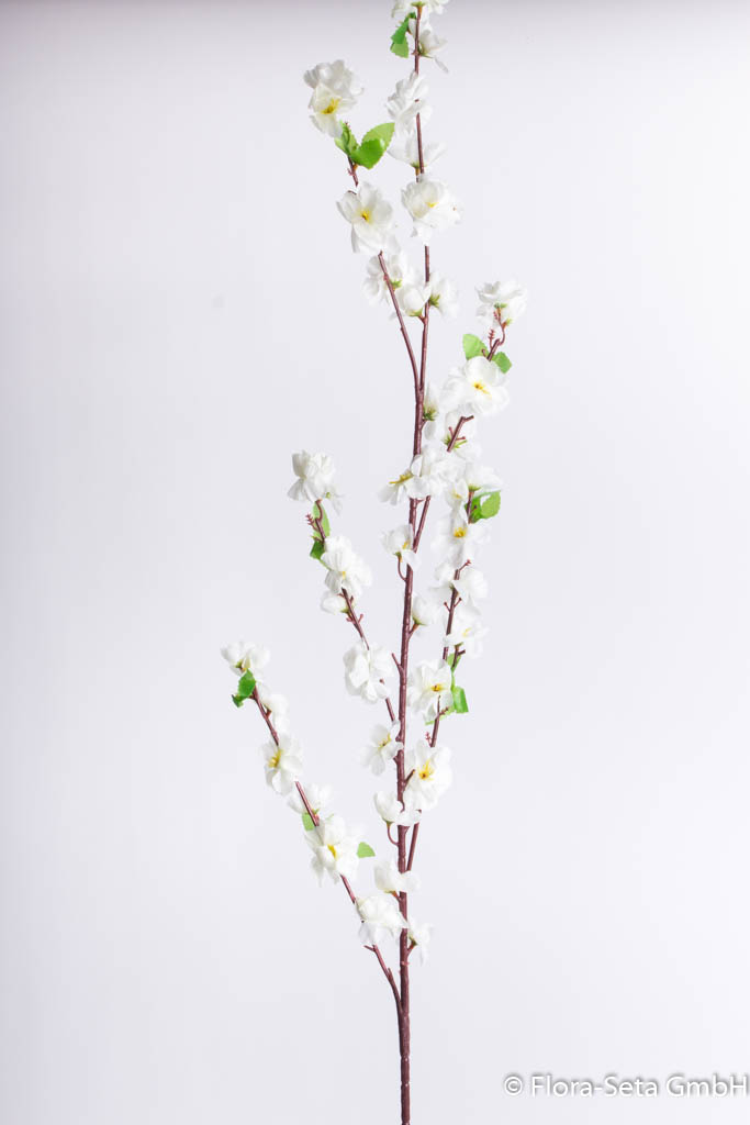 Frühlingsblütenzweig (Pfirsichblüten) 120 cm, Farbe: creme-weiß