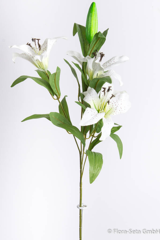 Lilie mit 3 Blüten, 1 Knospe und Blättern, Farbe: creme-weiß 