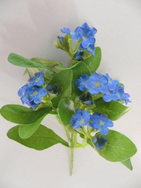 Vergißmeinnichtbusch mit 5 Blüten Farbe:blau